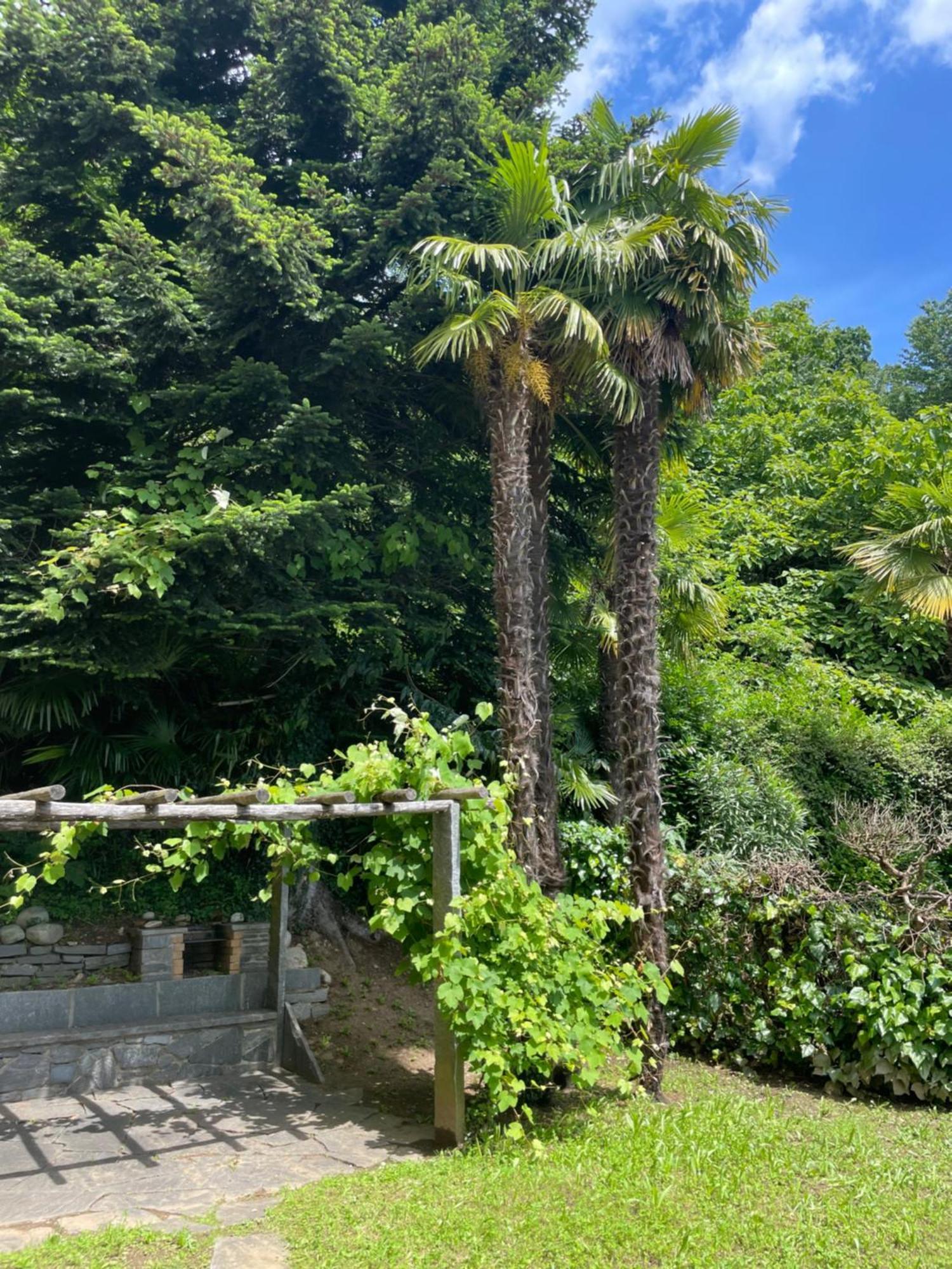 Appartement Novotna Ponte Tresa Esterno foto